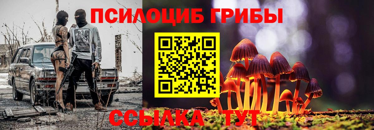 Галлюциногенные грибы Magic Shrooms  Галлюциногенные грибы Cubensis  Нарткала  Вход с VPN 